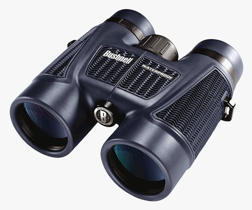Bushnell H2O Binoculars -- road trip essentials