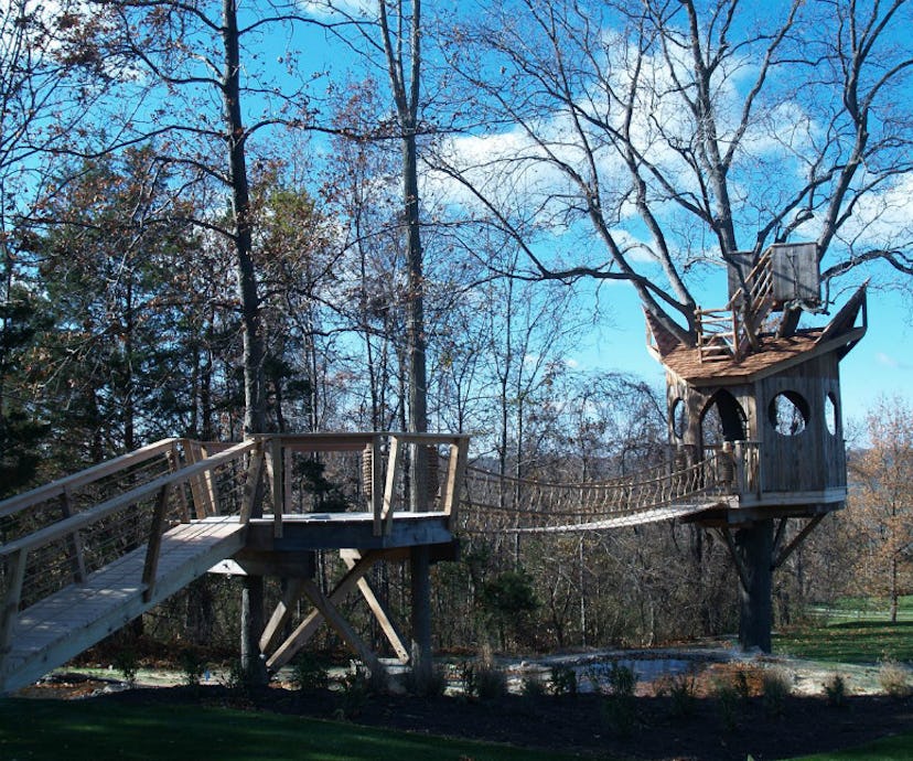 Tree House -- tree houses