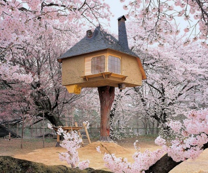 Teahouse Tetsu -- tree houses