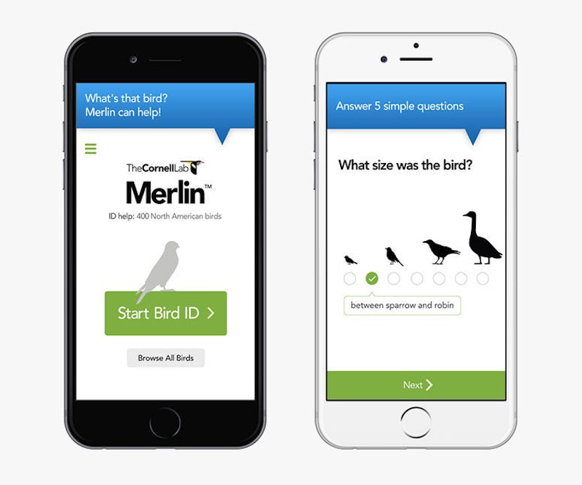 Merlin Bird ID -- nature apps