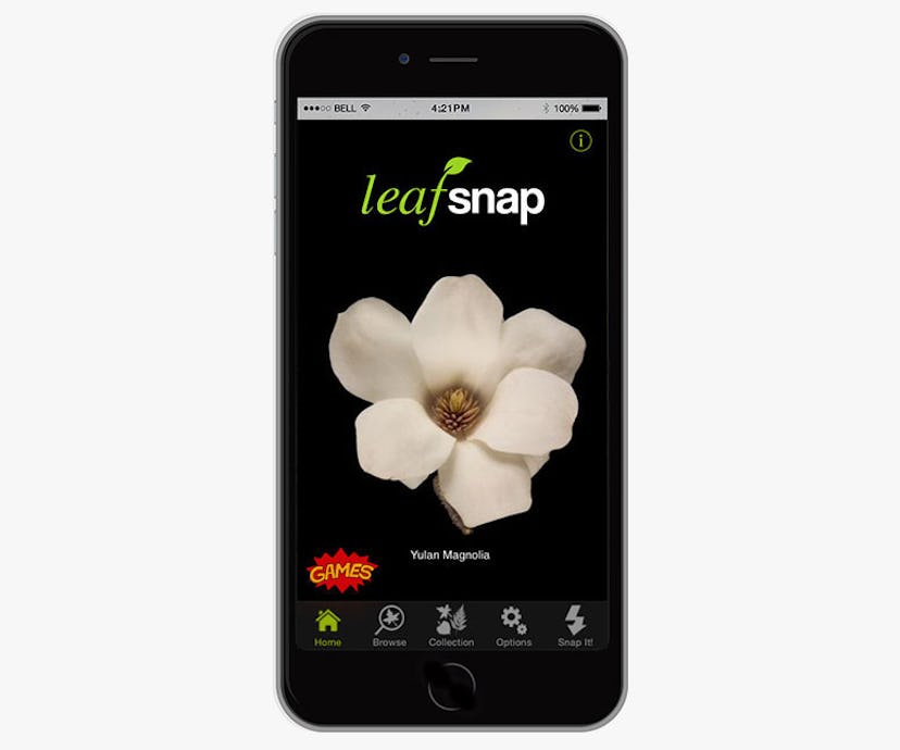 Natural Sciences: Leafsnap -- back-to-school educational apps