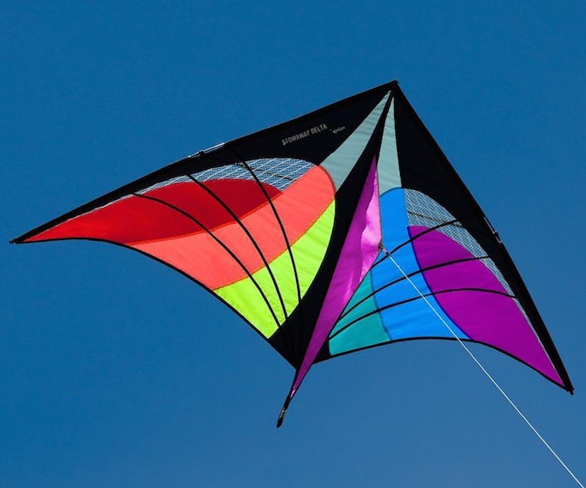 Prism Stowaway Delta Kite -- best kites