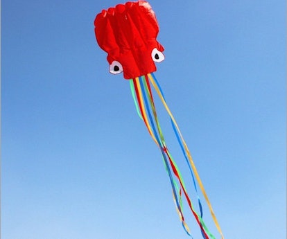 Kengel Octopus Kite -- best kites