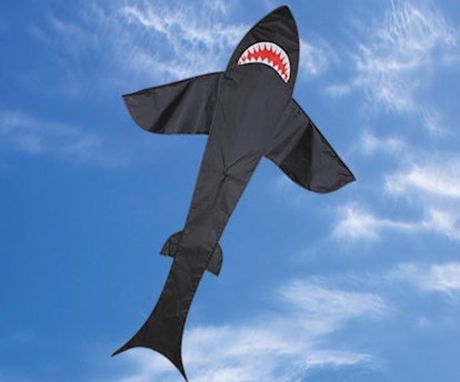 Premier Kites Shark -- best kites