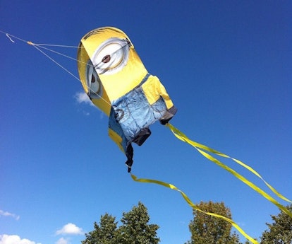 Wind n Sun SkyPals Minion Kite -- best kites