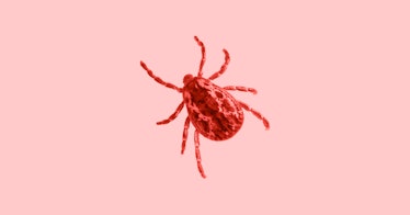 A single tick with an orange color filter over it.