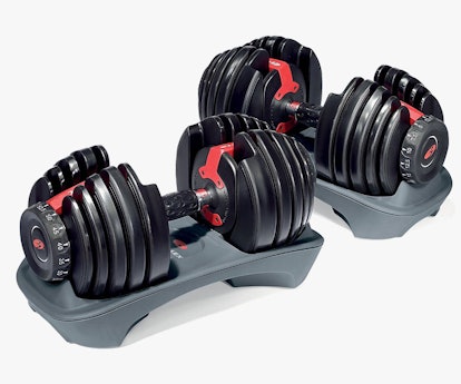 Bowflex SelectTech 552 Adjustable Dumbbells -- home gym equipment