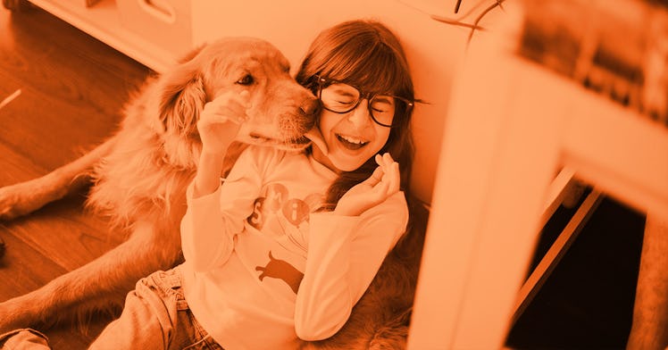 A golden retriever licking a child's face