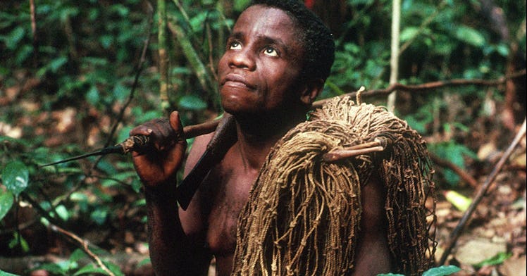An Aka Tribe Pygmy father standing in the jungle and looking up to the sky