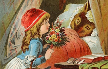 Red Riding Hood Gives The Wolf Her Flowers