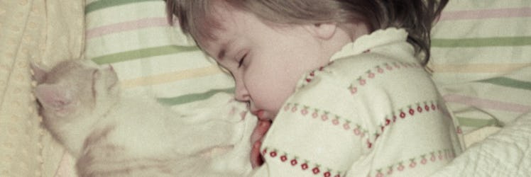 When To Transition To A Toddler Bed