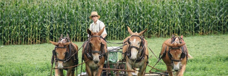 parenting around the world