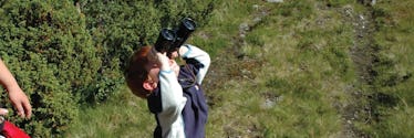 bird watching