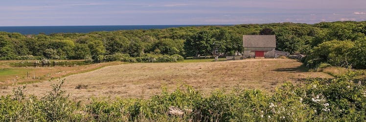 martha's vineyard