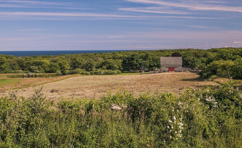 How To Plan A Family Vacation To Martha's Vineyard 