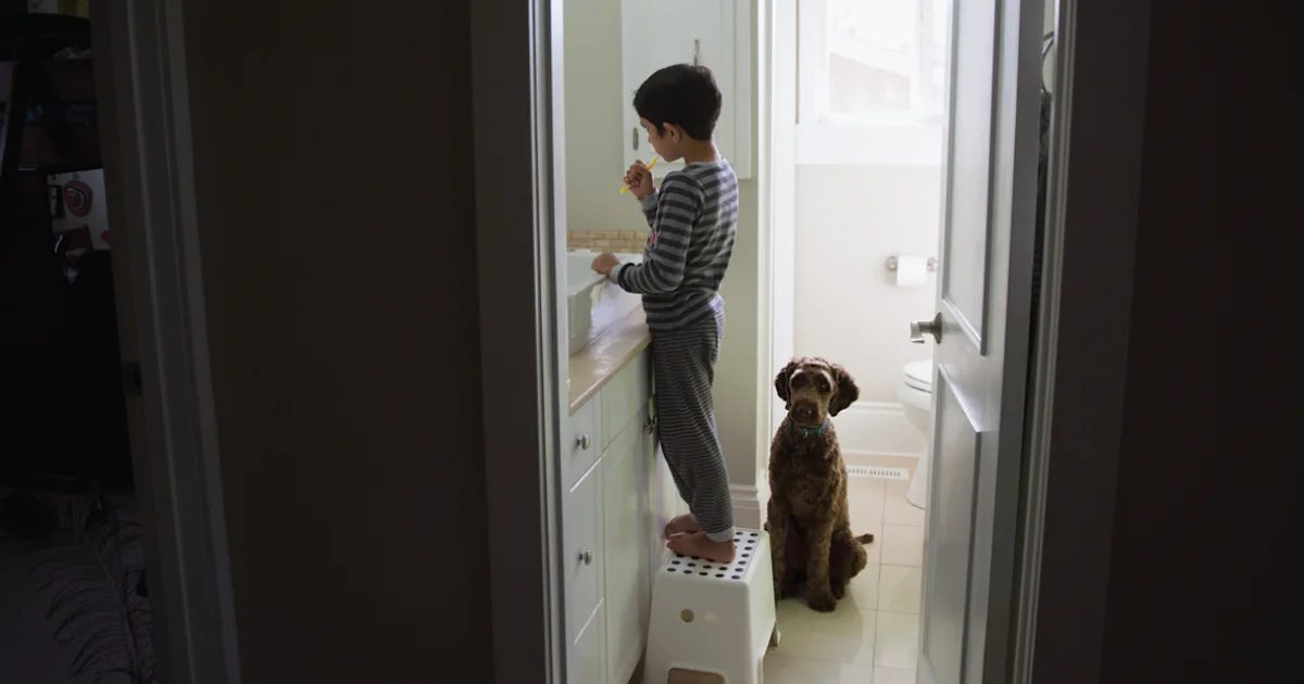 9 Best Morning Routine Apps For Kids