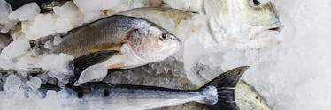 When Can Babies Eat Fish?
