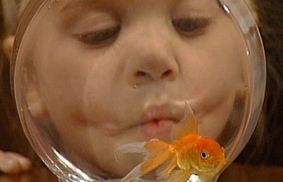 When Can Babies Eat Fish?