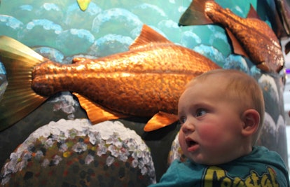 When Can Babies Eat Fish?