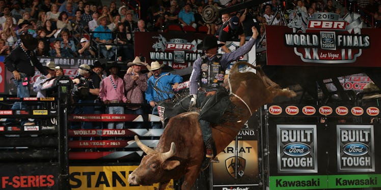 Fatherly Advice: Pro Bull Rider Bonner Bolton