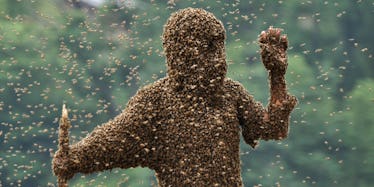 How To Avoid Bee Attacks