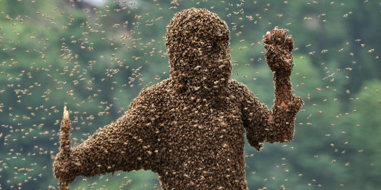 How To Avoid Bee Attacks