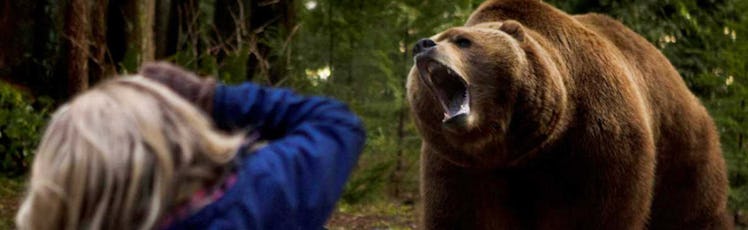 how to survive a bear attack