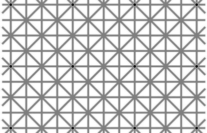 ninios-extinction-illusion-optical-illusion-grid