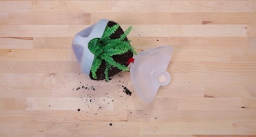 DIY-milk-jug-planter