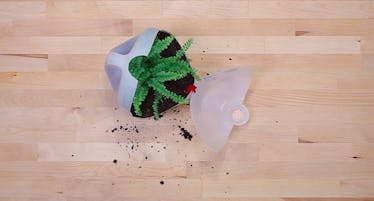 DIY-milk-jug-planter