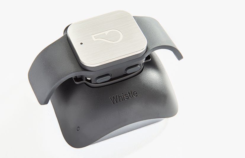 A Whistle GPS Pet Tracker