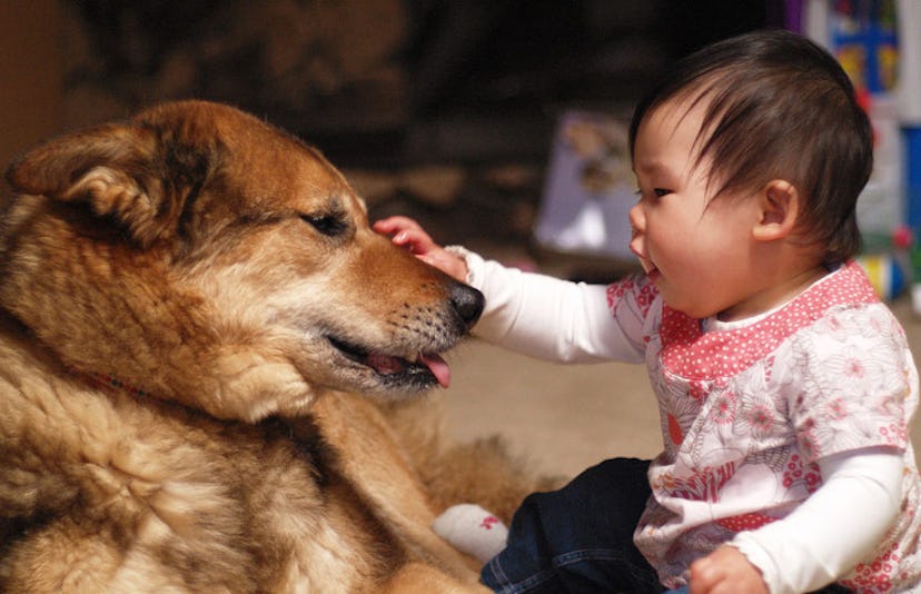 baby-playing-with-dog