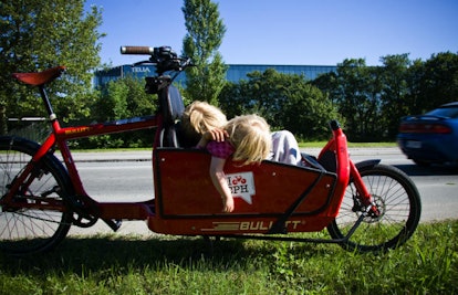 Kids Sleeping In A Bicycle In Copenhagen