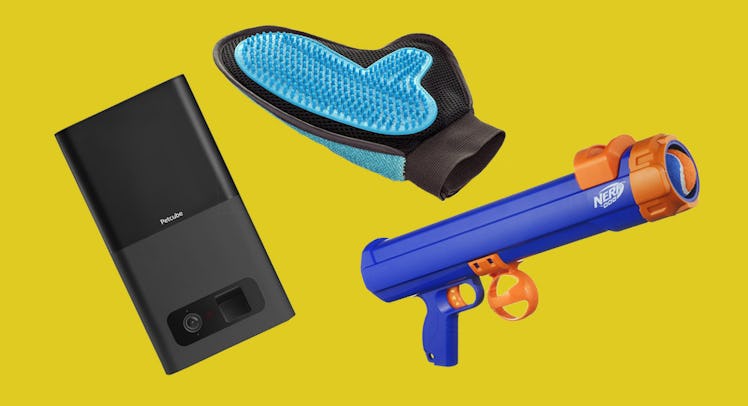 Petcube Bites,a two in one pet glove and a Nerf Dog Tennis Ball Blaster