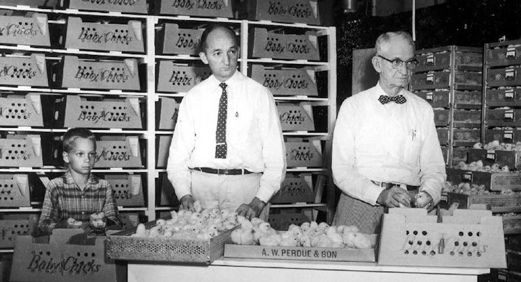 A father, a son, and a grandson selling products together