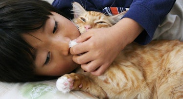 sick child and cat