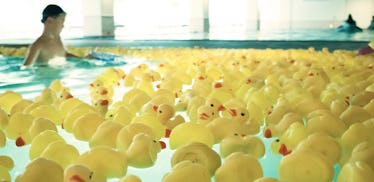 rubber ducks