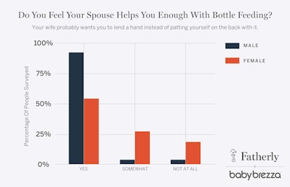 Baby Brezza Fathers And Bottle Feeding Survey