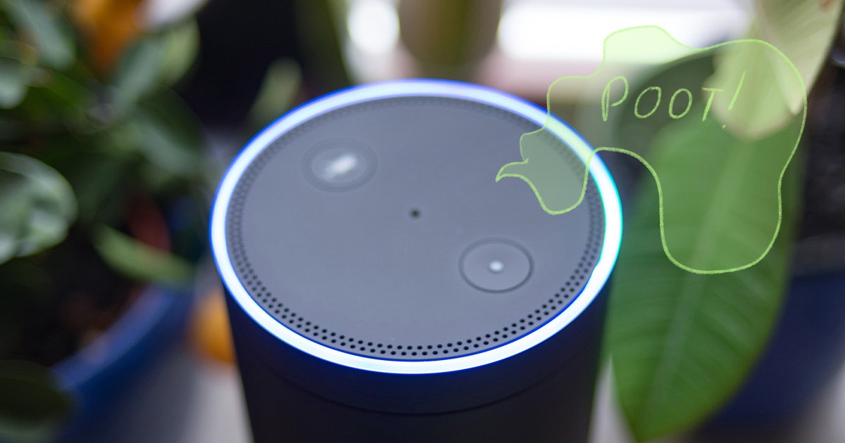 kiwi drikke tøjlerne Amazon Alexa Will Make Fart Noise With Simple Command