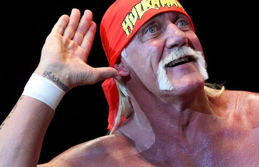 hulk hogan