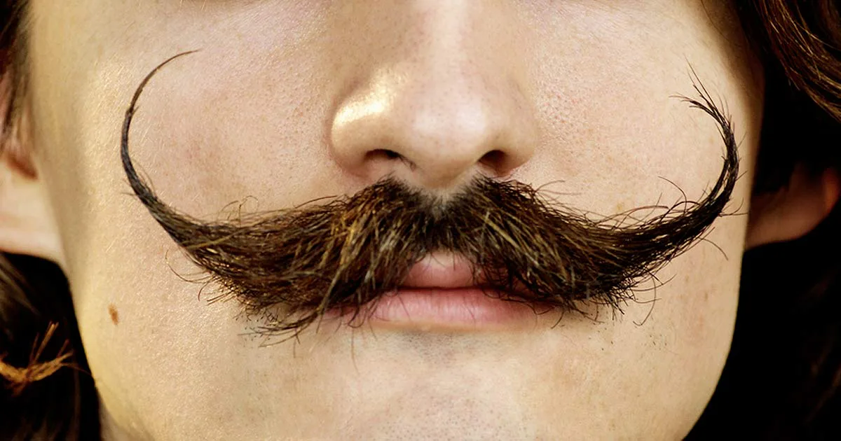 Doded Mustache List Of 9 Great Dad Mustaches Throughout History