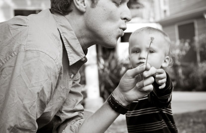 father and son dandelion