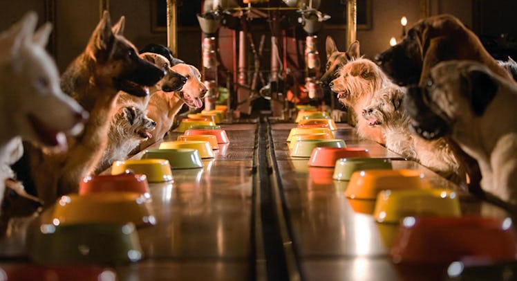 hotel for dogs movie still