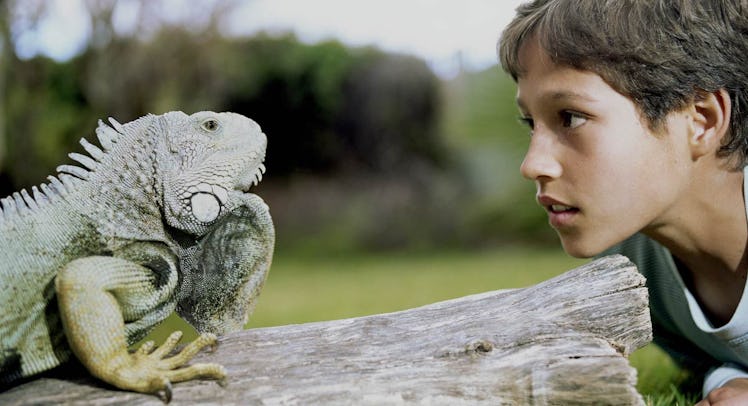 kid and iguana