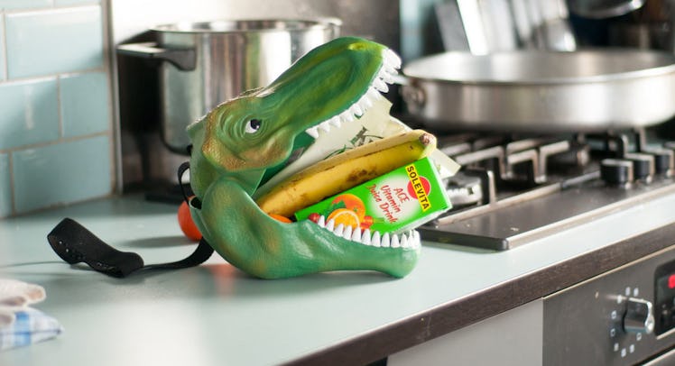 suck uk dino case t-rex box lunchbox