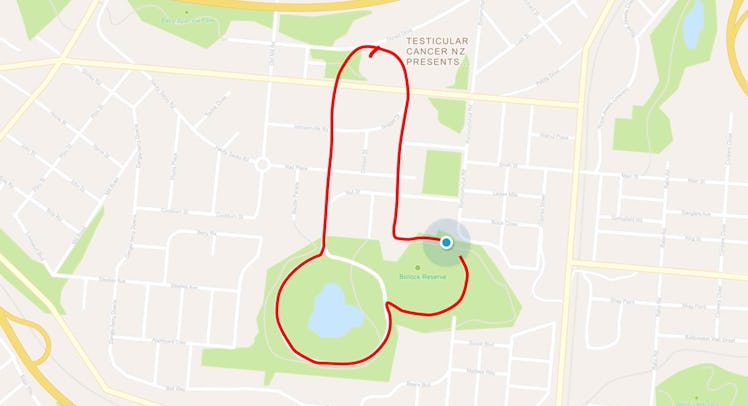 go balls out new zealand