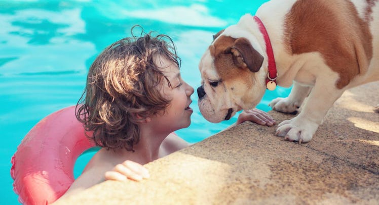 kid and bulldog by swimming pool