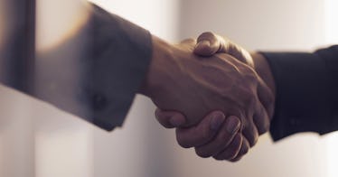 Two partners shaking hands