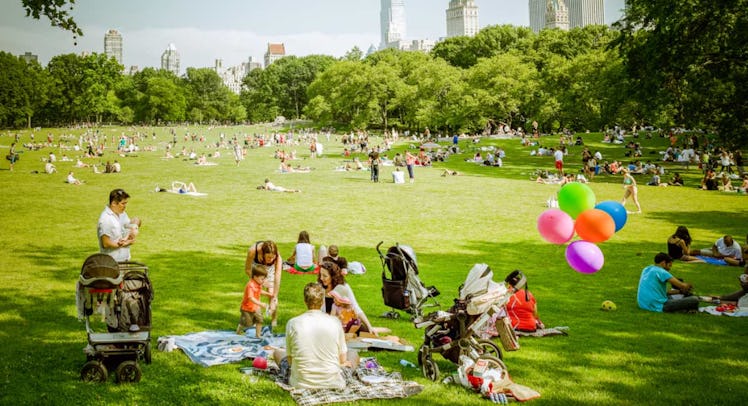 new york central park
