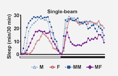 Single-beam DAM data demonstrating reduced male sleep in the presence of females.